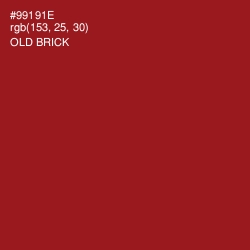 #99191E - Old Brick Color Image